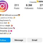 instagram vip bio for girls with emojis
